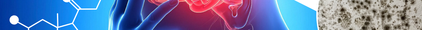 From Brain Fog to Fatigue: How Mould Toxicity Affects the Nervous System & Hormones