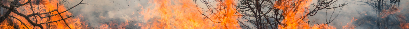 Seasonal Bushfire Outlook & Your Ultimate Bushfire Protection Tips