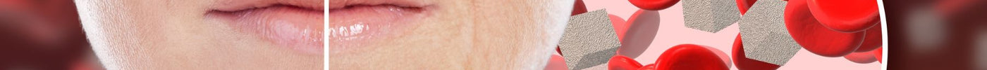 Why Blood Sugar Spikes Are Ageing You Faster (And How Protein Helps)