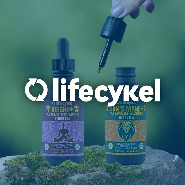 LifeCykel