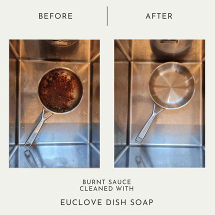 Euclove Dish Soap Burnt Sauce Before & After