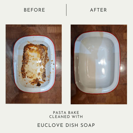 Euclove Dish Soap Pasta Bake Before & After