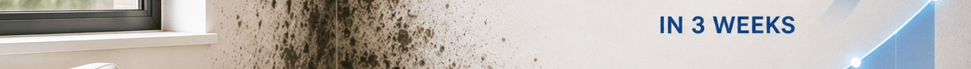 Australia’s Mould Problem Is Growing: Is Your Home at Risk?