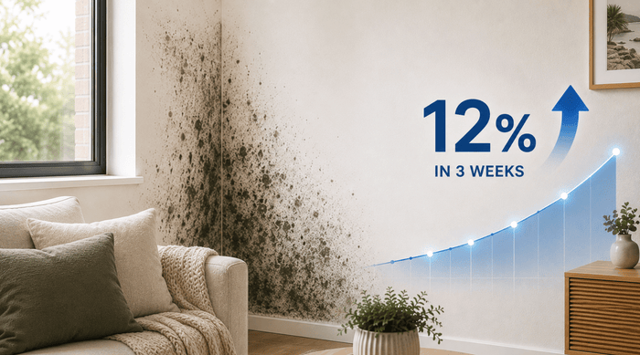 Australia’s Mould Problem Is Growing: Is Your Home at Risk?