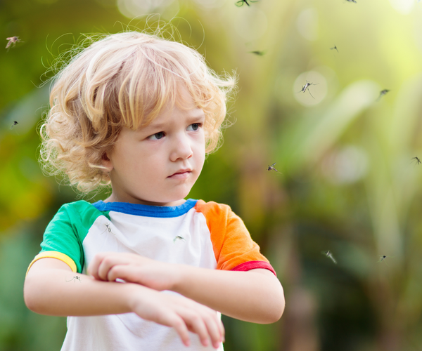 How You Can Prevent and Treat Mosquito Bites on Your Baby Aussie
