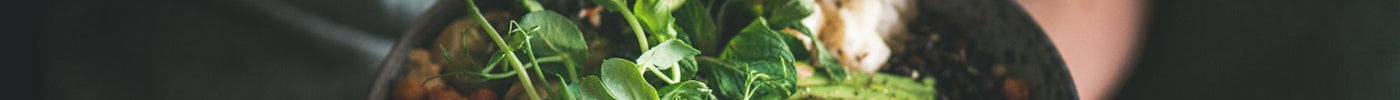 Can You Get Peptides Naturally From Food?