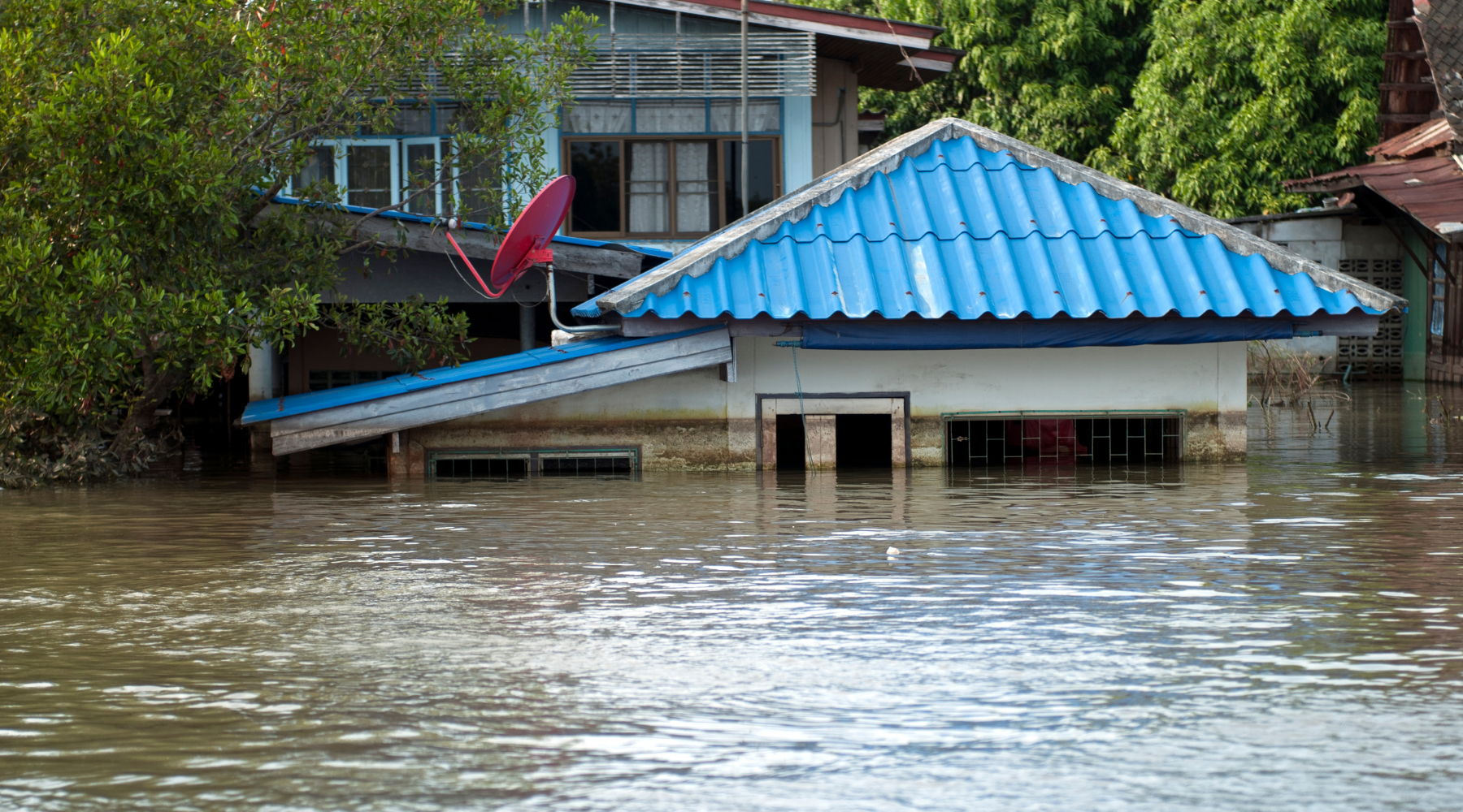 What to Do After a Flood: Health Risks, Cleanup Precautions & Recovery Tips