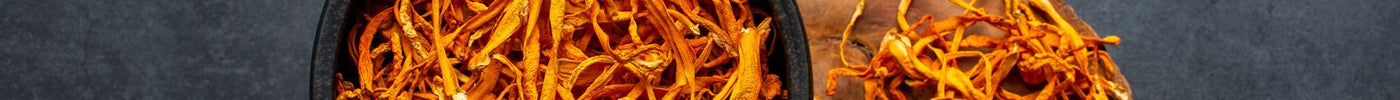 Cordyceps Mushroom - What it is and How it Supports Your Health