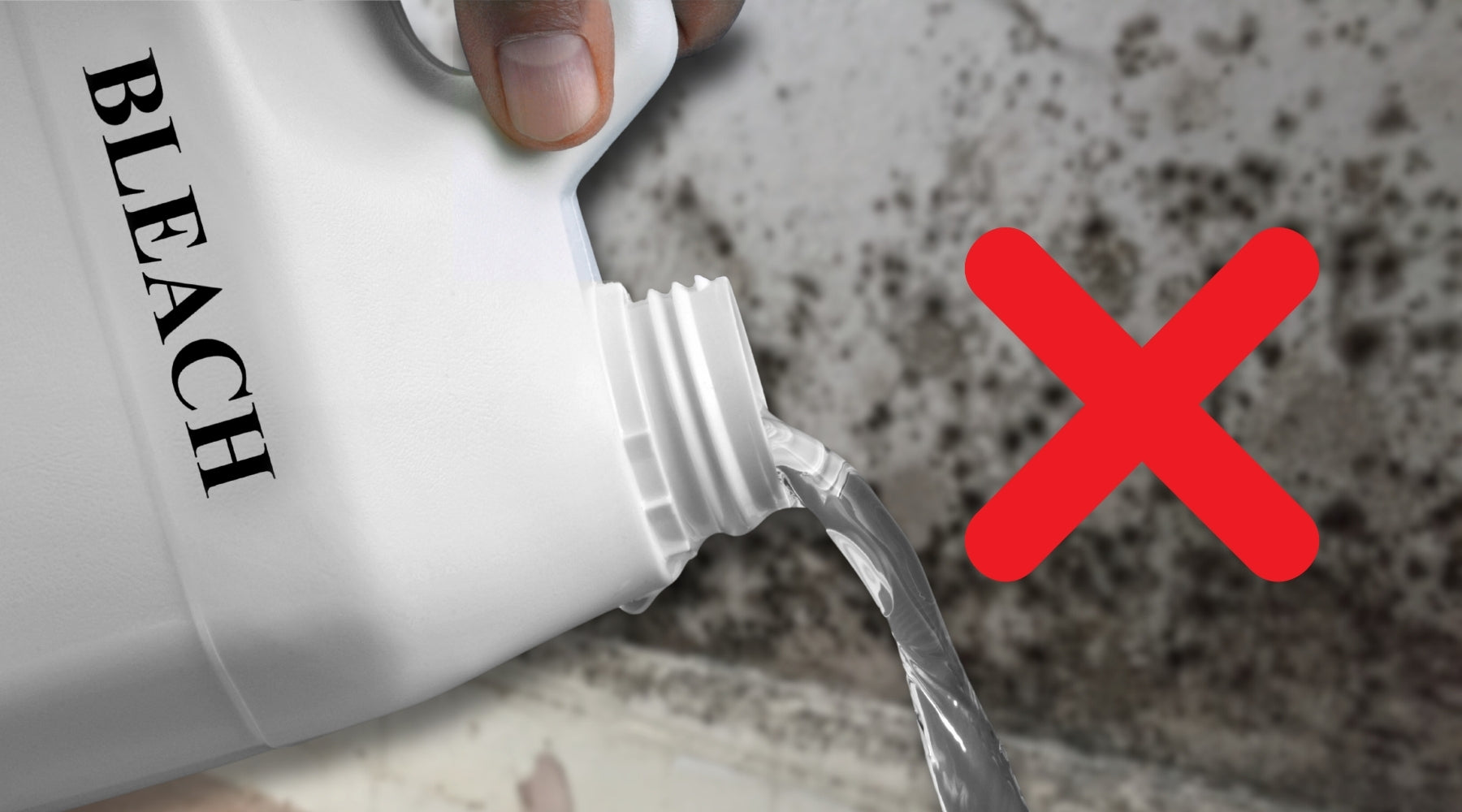 Don’t Use Bleach to Kill Mould (Here’s Why It Comes Back)