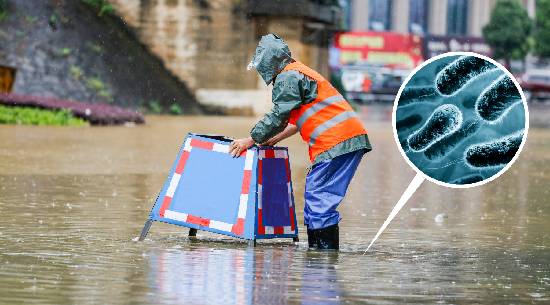Floodwater Contamination: The Most Common Diseases & How to Avoid Them