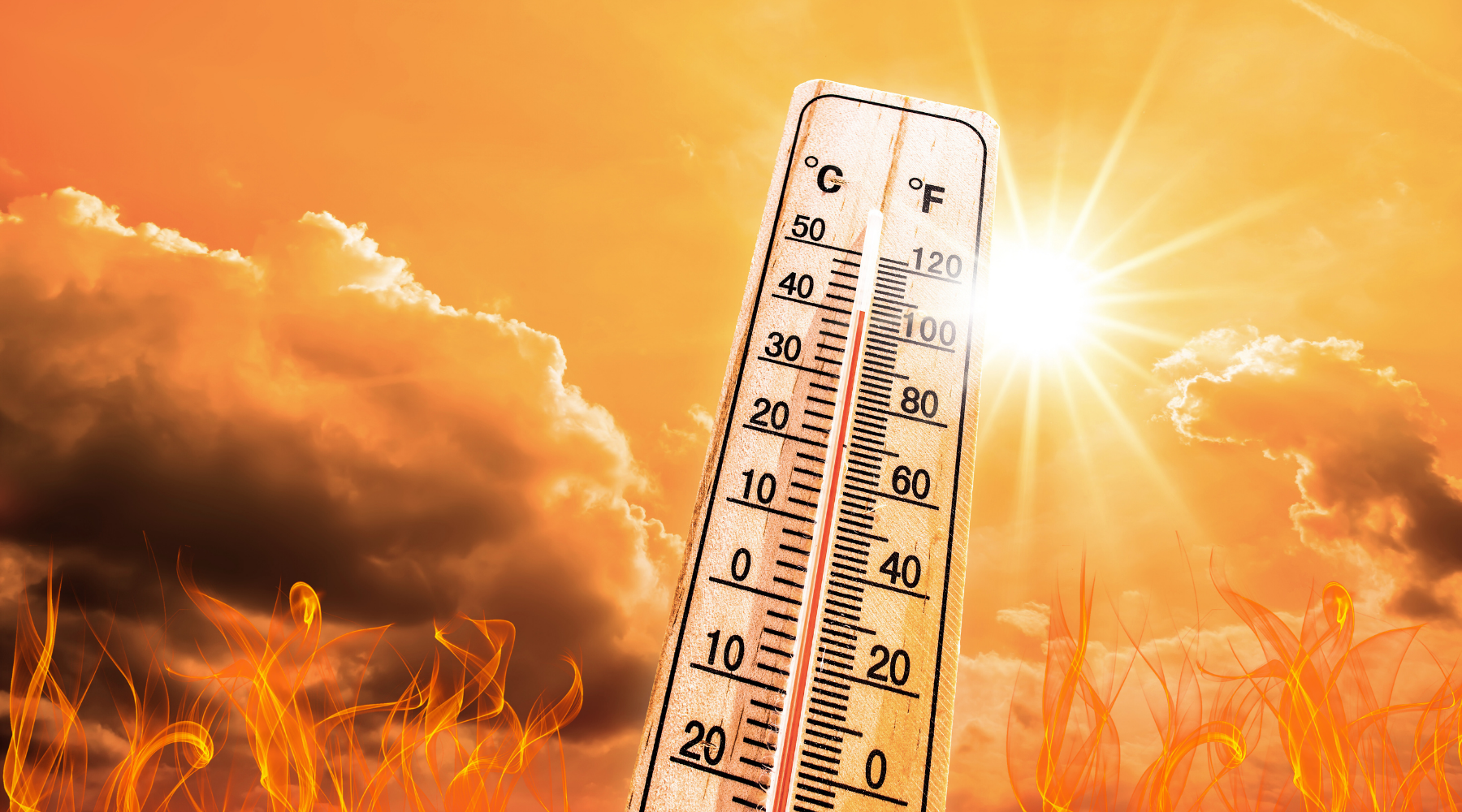 Heatwaves to Bushfires: A First Aid Guide to Staying Safe in Australia's Extremes