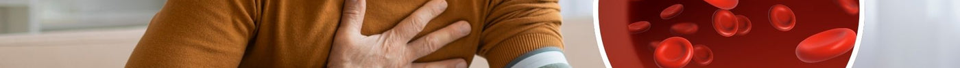 How Blood Pressure May Affect Memory, Thinking & Overall Brain Health