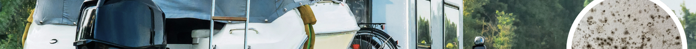 How Do You Get Rid of Mould in Your Caravan or Boat?