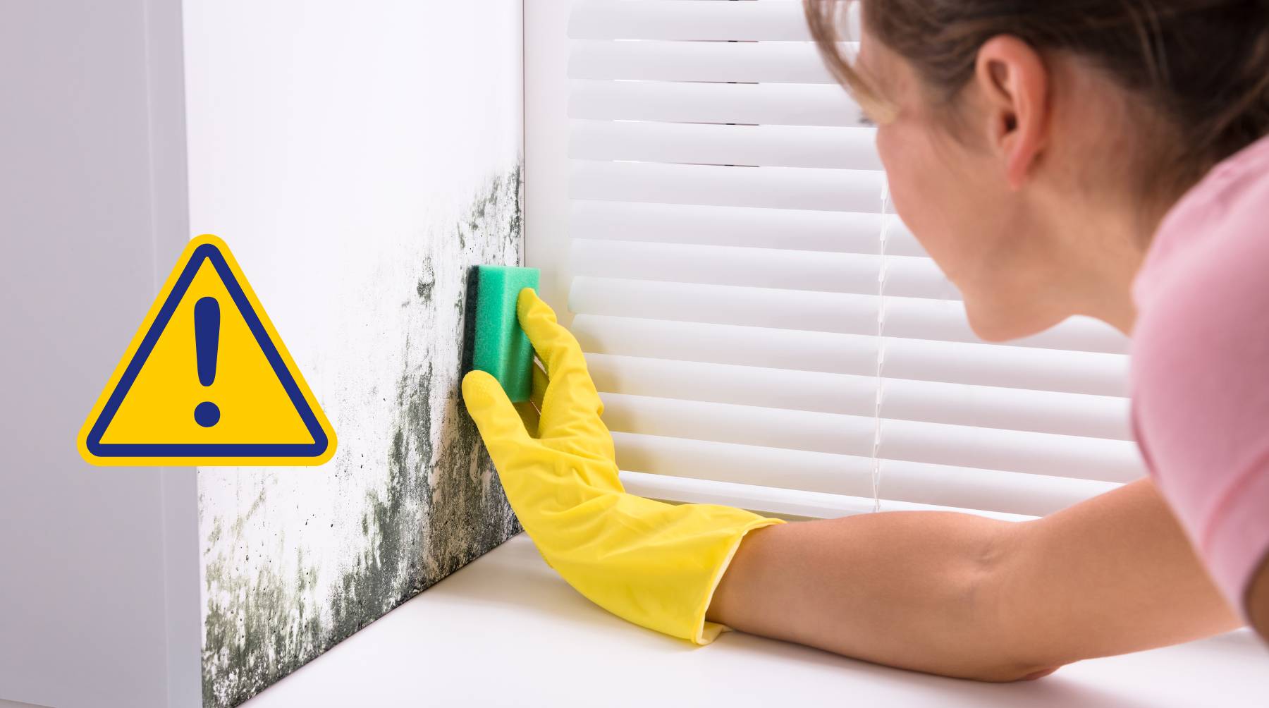How to Get Rid of Mould from Your Bathroom