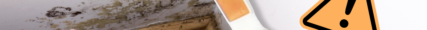 How to Use the SAN-AIR Mould & Bacteria Test Kit: A Step-by-Step Guide