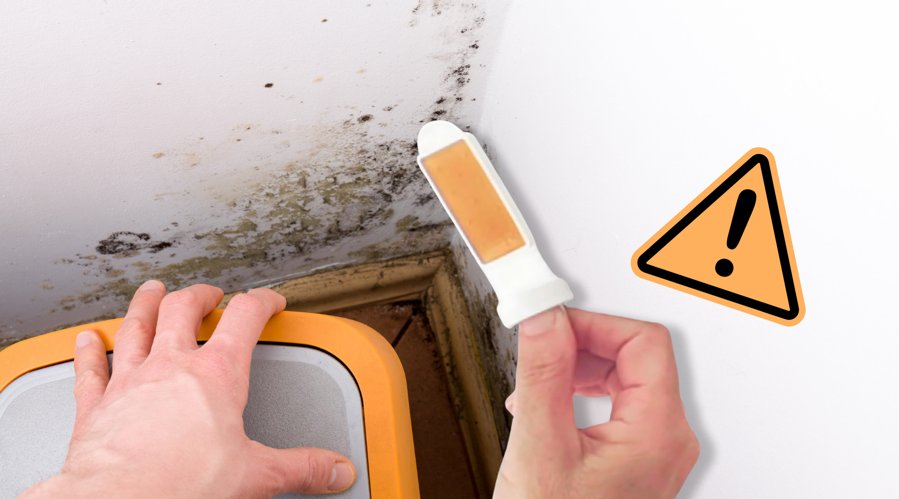 How to Use the SAN-AIR Mould & Bacteria Test Kit: A Step-by-Step Guide