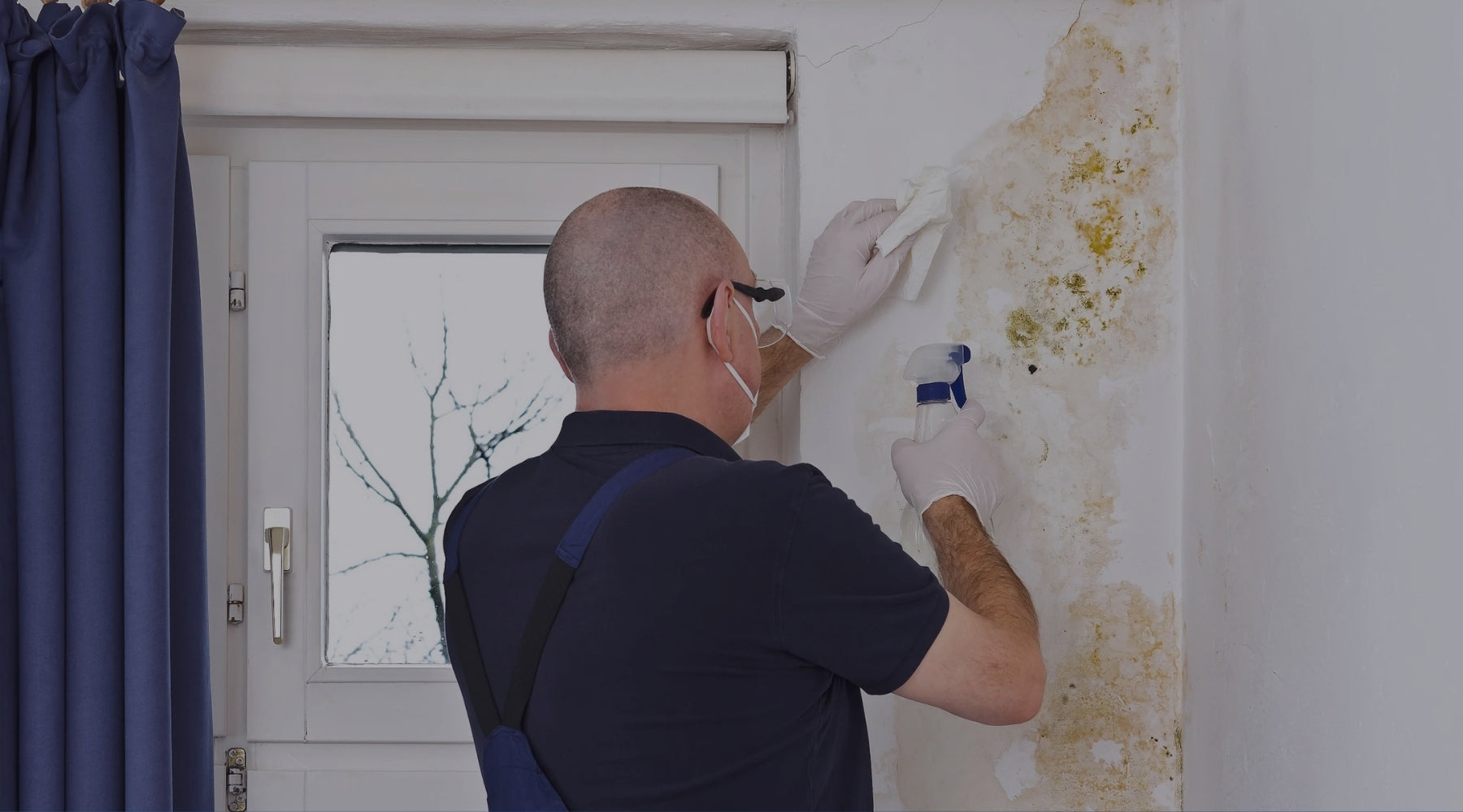 Is There Mould Hiding Behind Your Paint? Why Painting Over It Doesn’t Work
