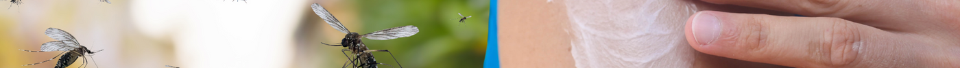 Mosquito Repellents: 11 Things They Hate