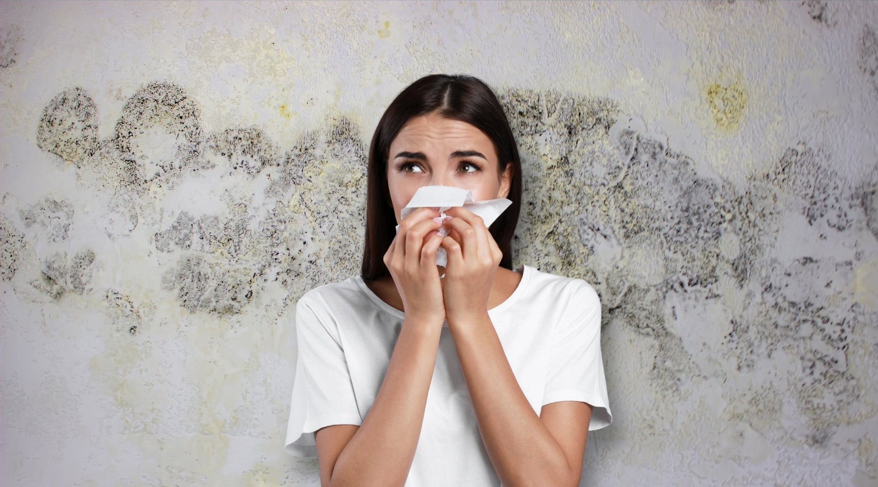 Mould Allergy vs Mould Toxicity: What’s the Difference?