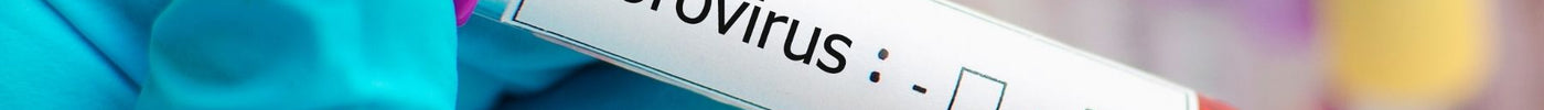 Is It Norovirus or Just Food Poisoning? Key Differences in Symptoms to Note