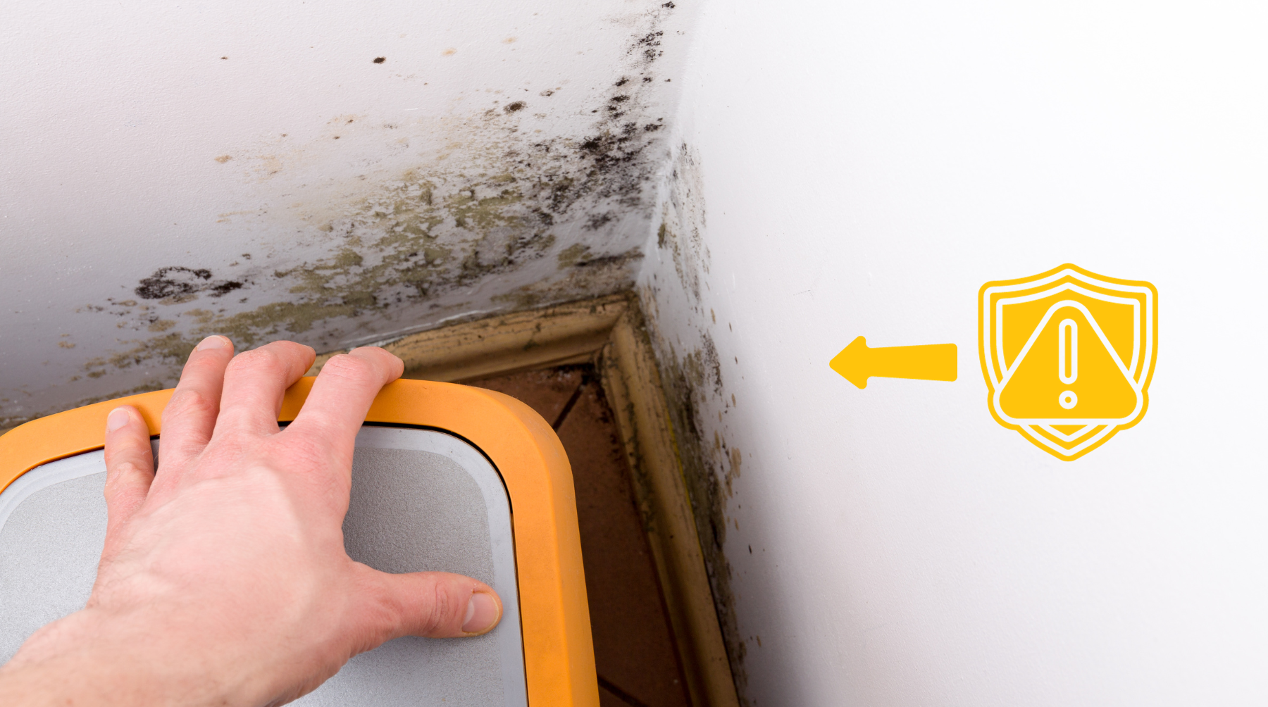Preventing Mould Before It Starts: A Step-by-Step Guide