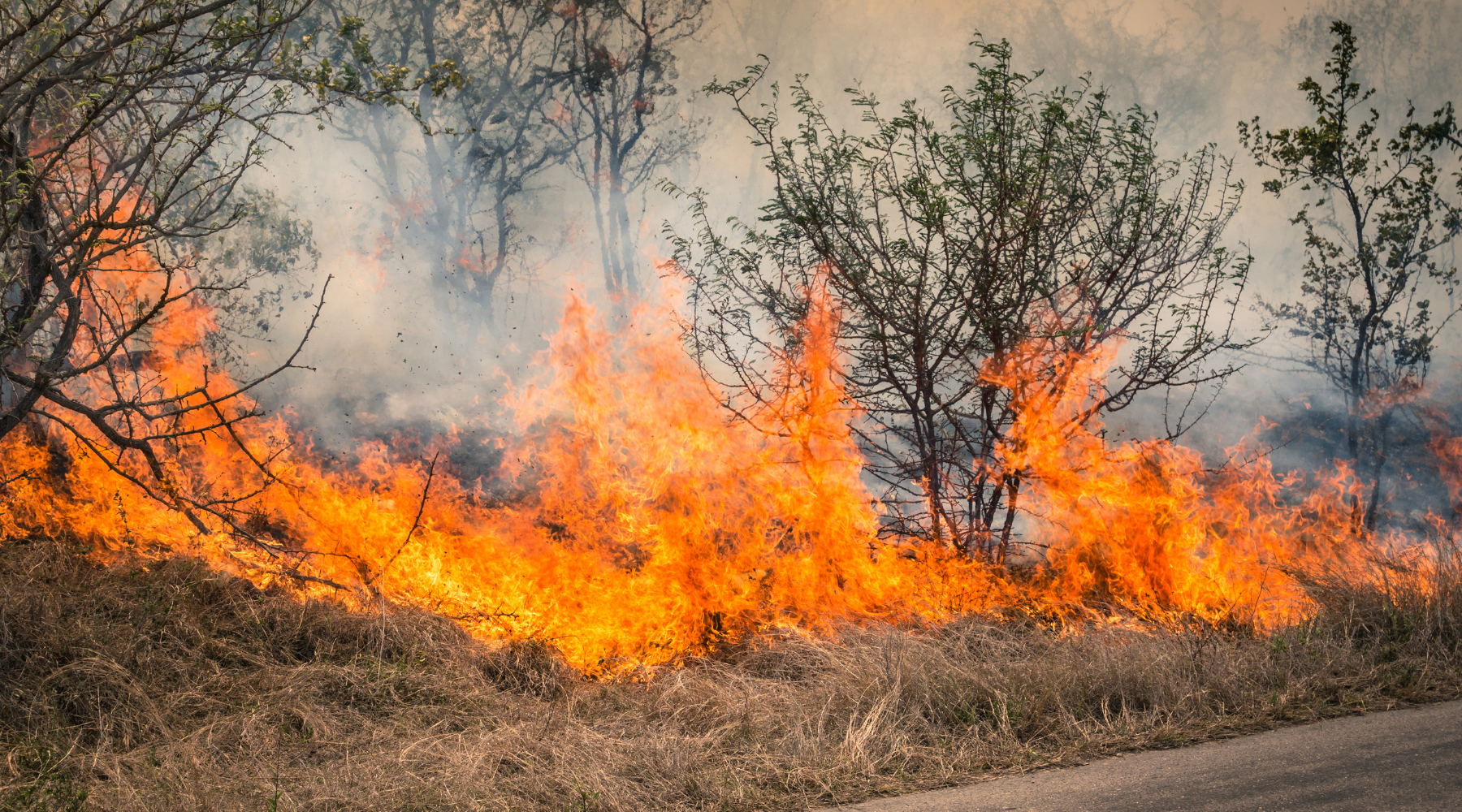 Seasonal Bushfire Outlook & Your Ultimate Bushfire Protection Tips