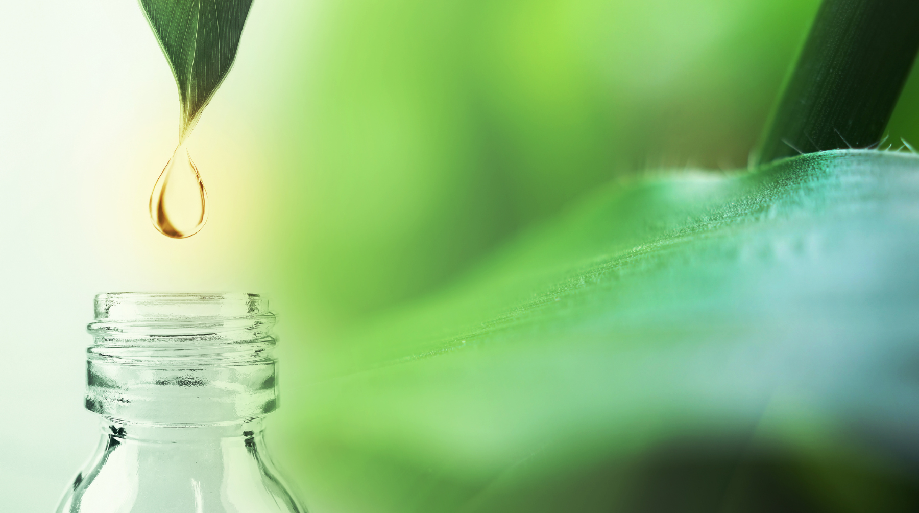 Switch to a natural insect repellent, non-toxic hand sanitiser and organic vapour rub for babies in 2023