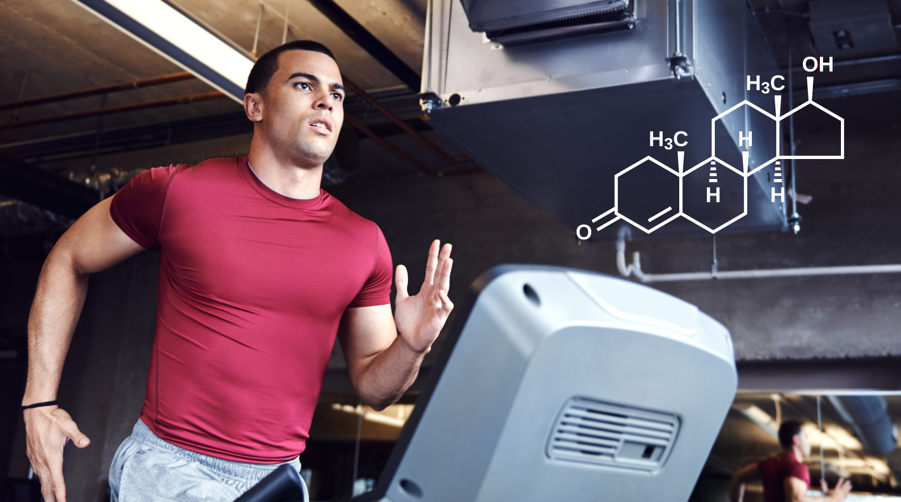 Signs of High Testosterone in Men