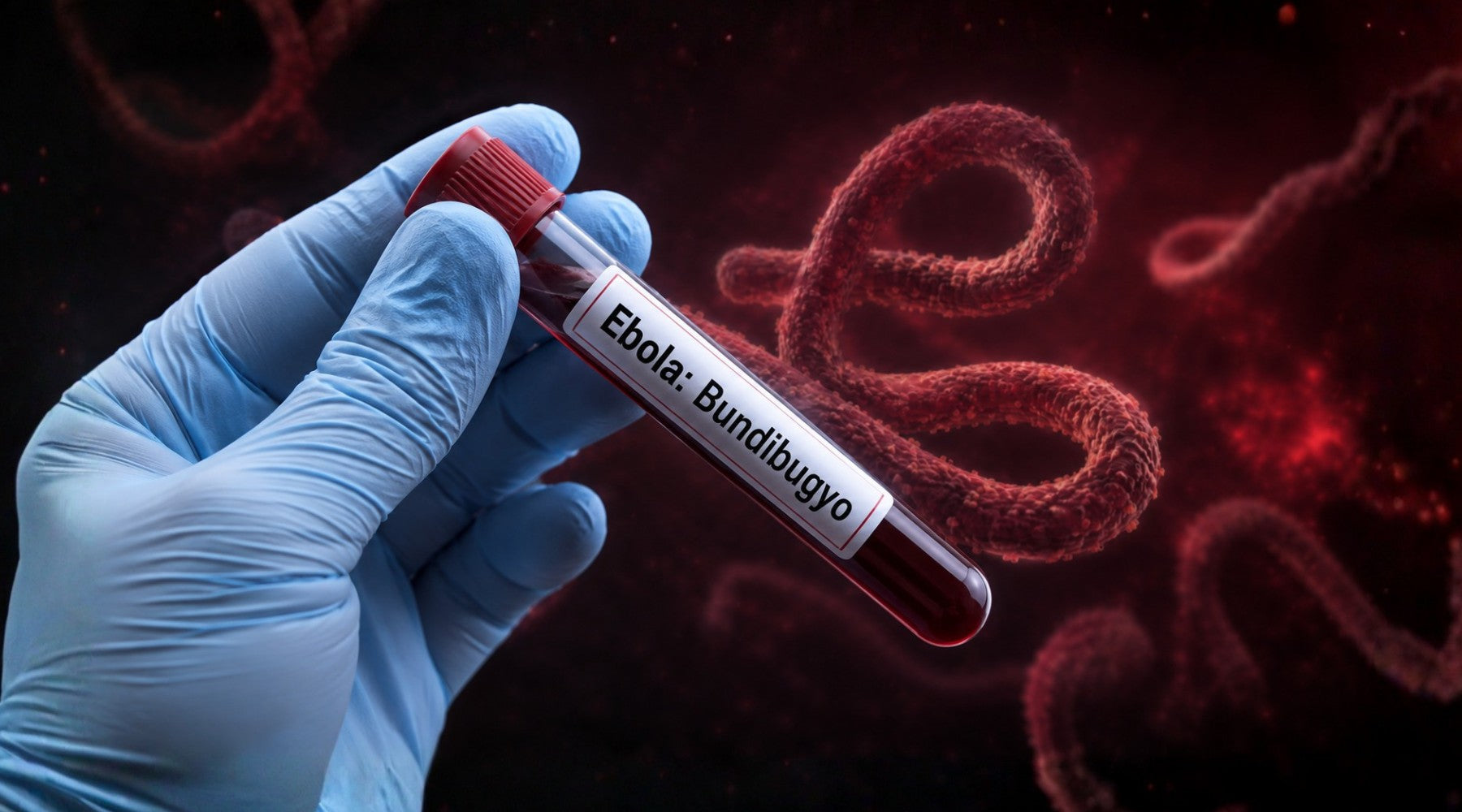 Should Australians Be Worried About the New Ebola Strain? What You Actually Need to Know 