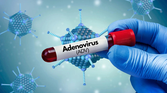 Still Sick After Checking for COVID, RSV & Flu? It Could Be Adenovirus