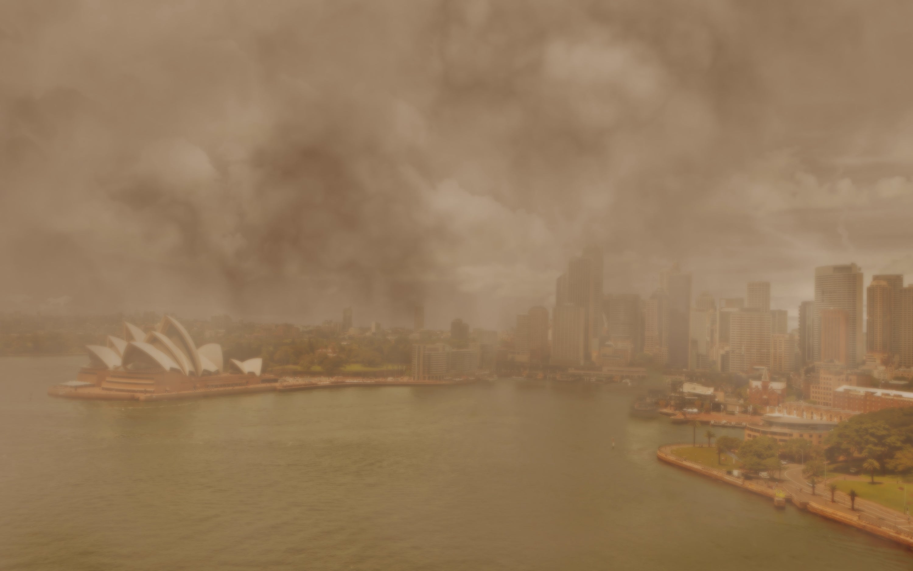 The Best Face Masks for Bushfire Season