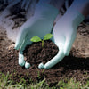 Biodegradable gloves