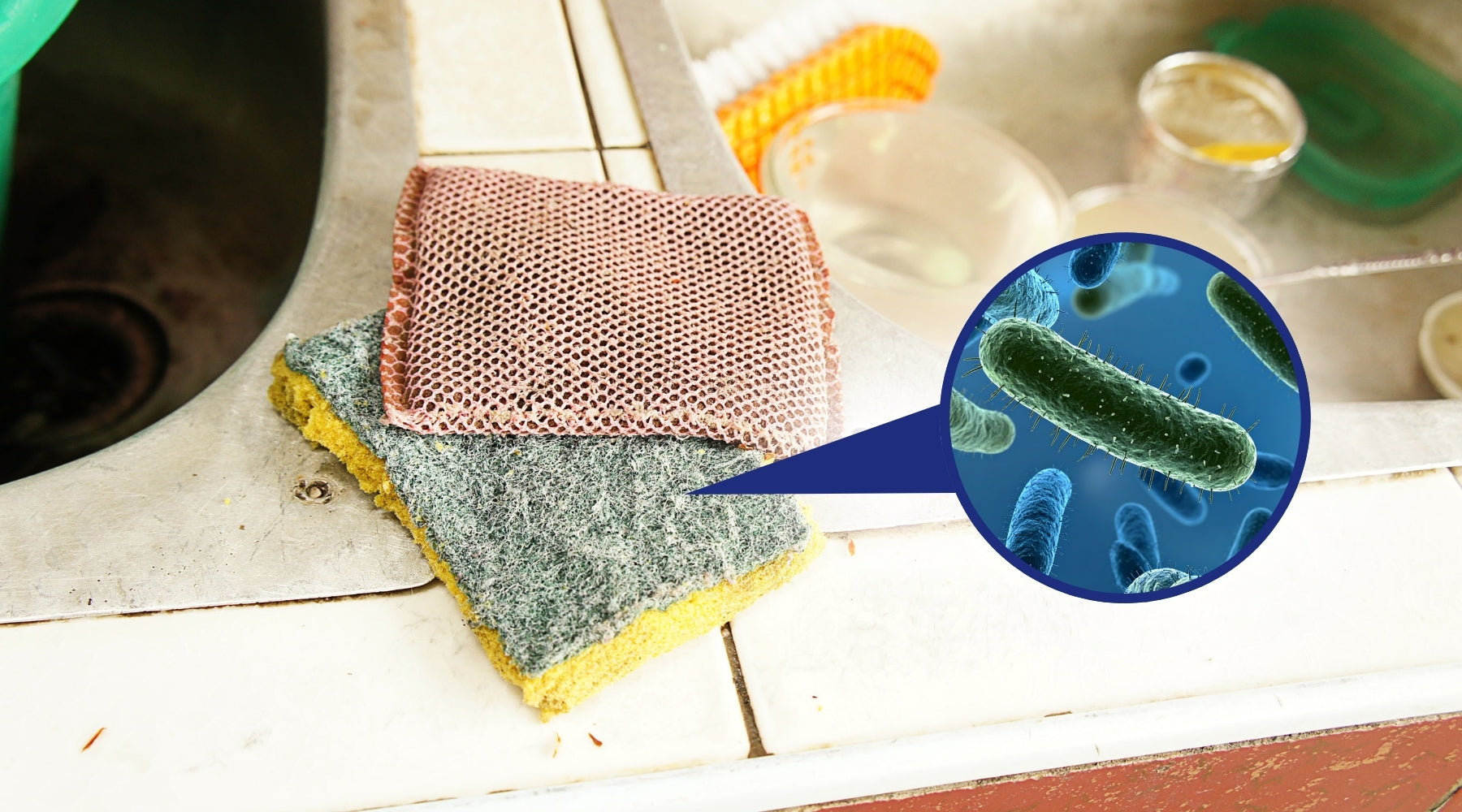 The Dirtiest Items in Your Kitchen (That You Use Every Day)