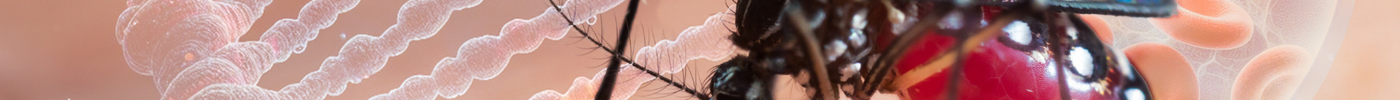 The Link Between Climate Change & The Rise in Mosquito-Borne Diseases