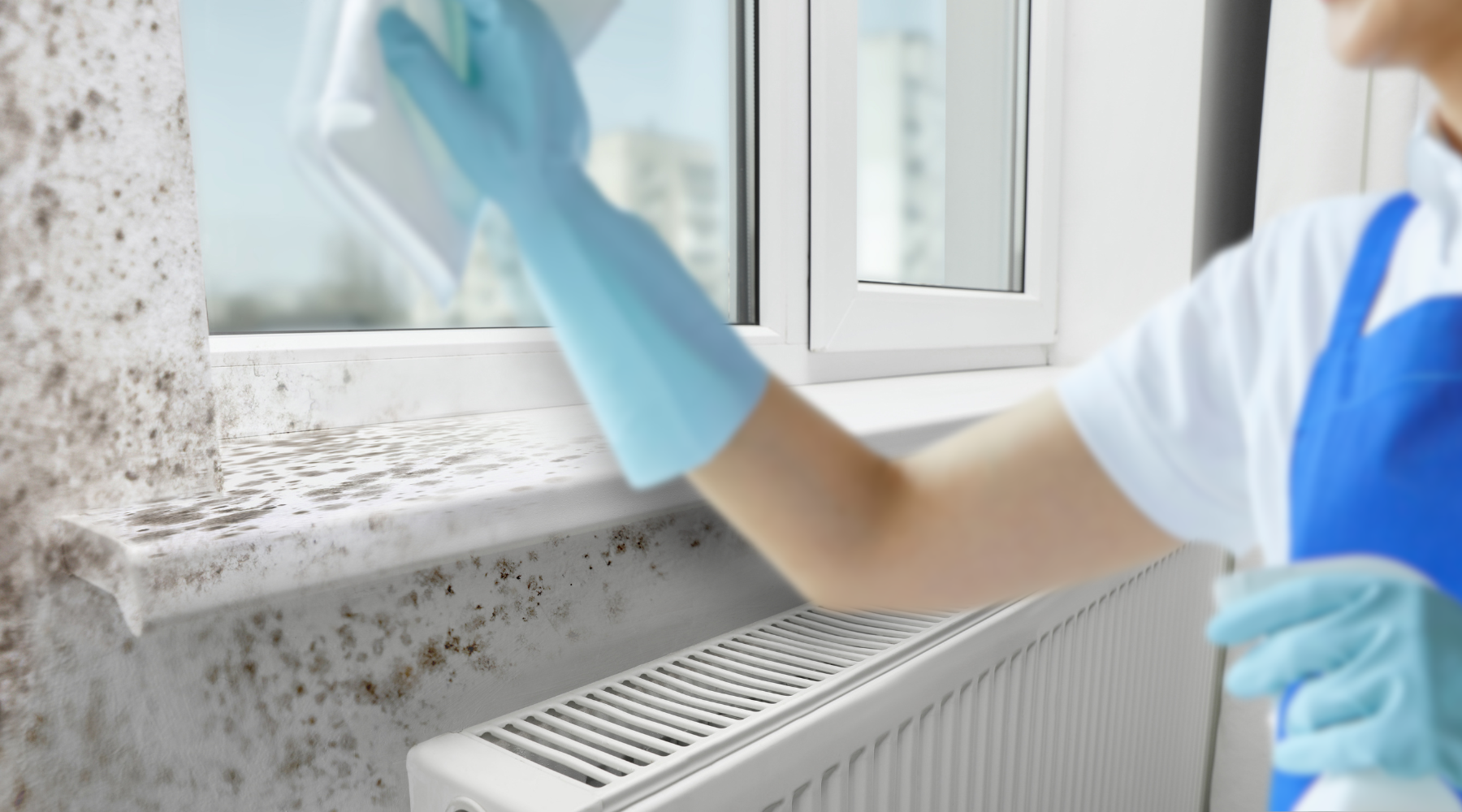 The Surprising Reason You Have Mould Around Your Windows (It’s Not Just Condensation)