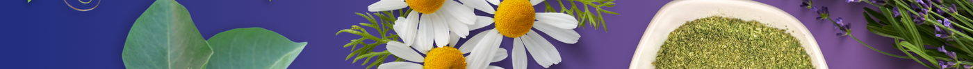 Top 10 Herbs That Will Help You Sleep Better