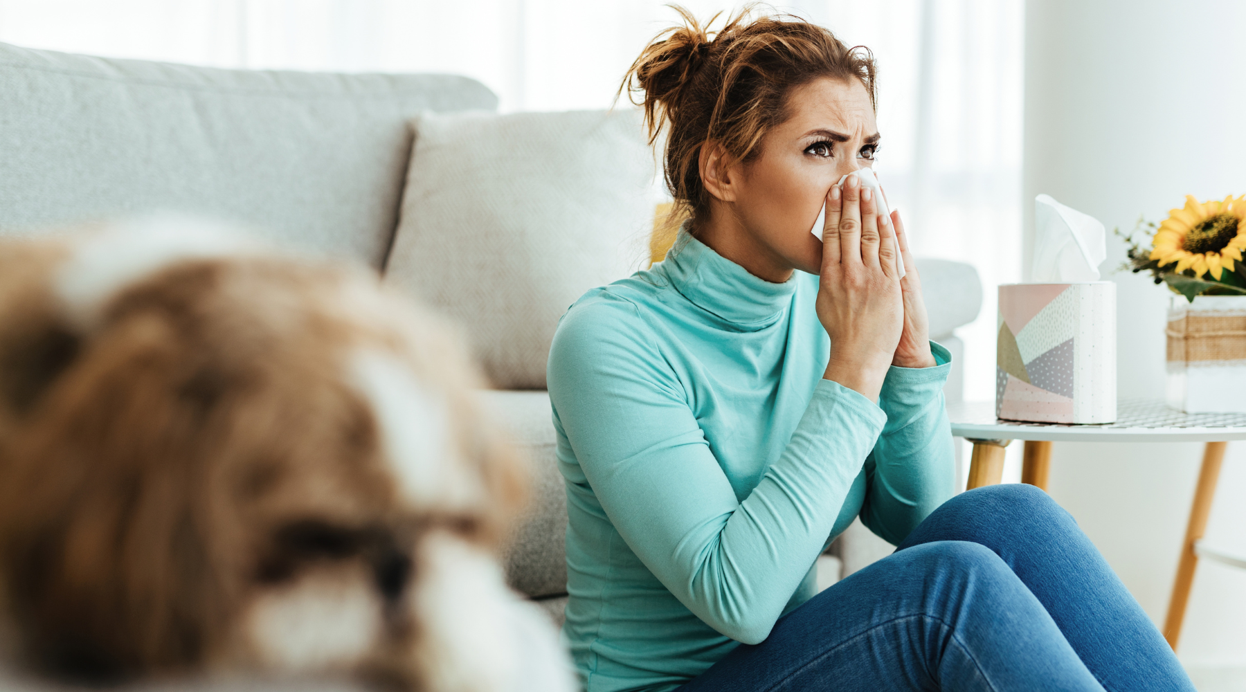 The best HEPA air purifier in Australia