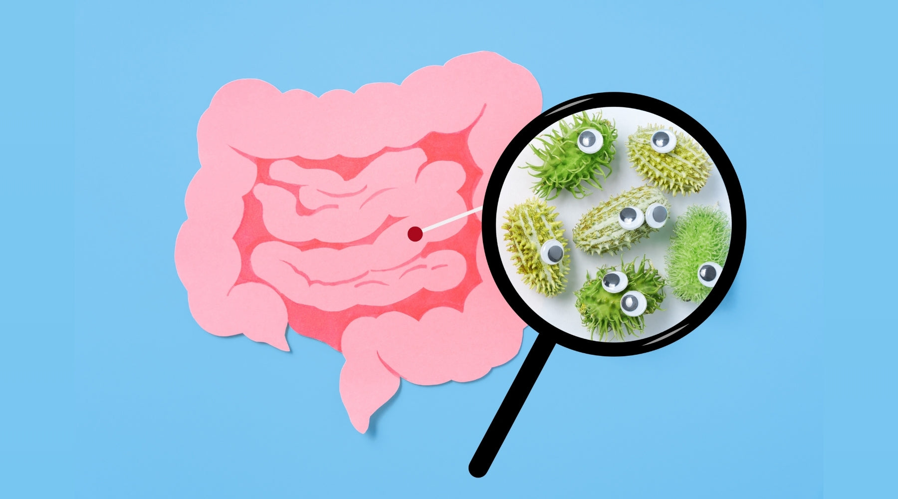 What Actually Helps Improve Gut Health?