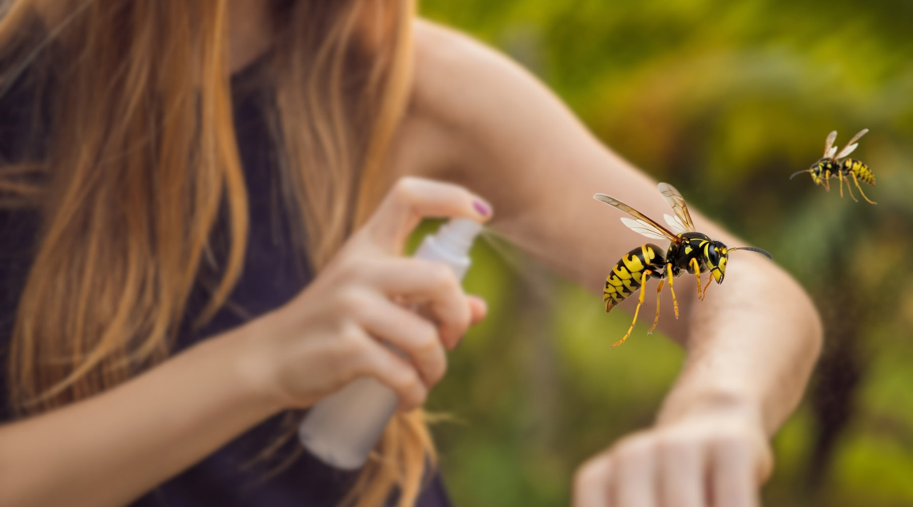 What Repels Wasps? Natural and Practical Ways to Keep Them Away