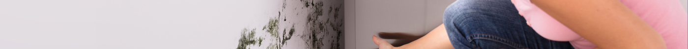 Where Does Mould Hide? The Most Overlooked Spots You Should Test