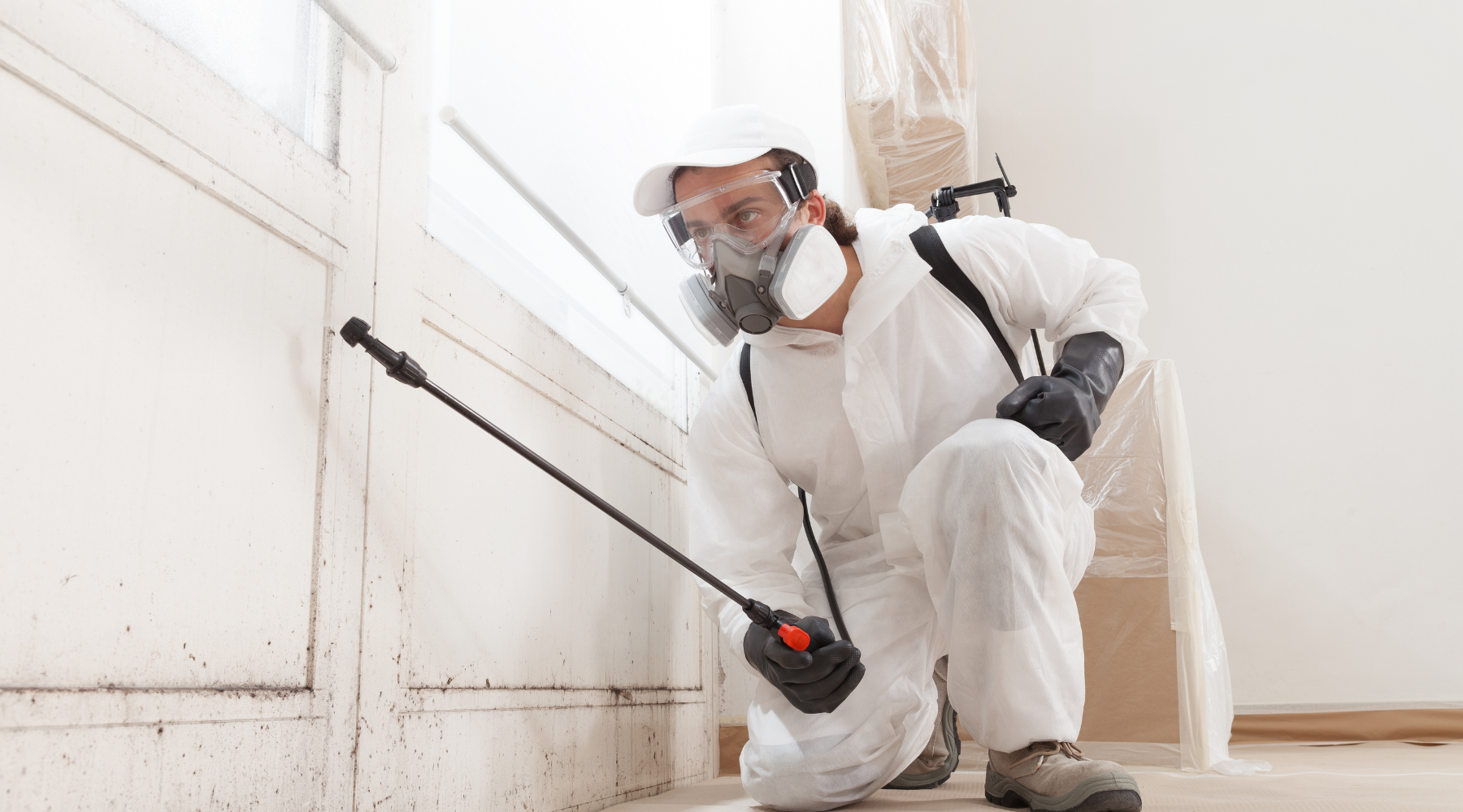 Who to Call for Mould Problems: The Experts You Need for Every Type of Mould Issue
