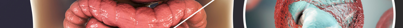 Why Aussies Are Getting Sick After Holidays & Pool Days – The Cryptosporidium Link 