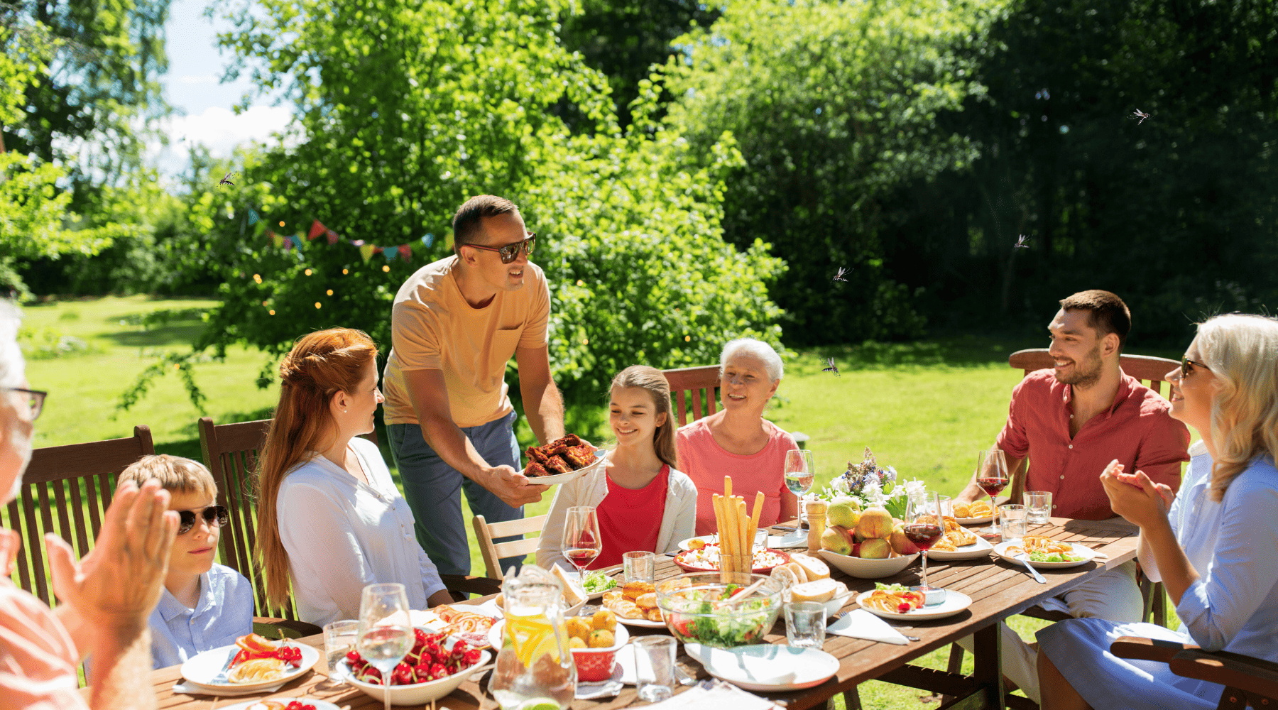 Why Insects Love Summer Holidays — and How to Keep Them Away