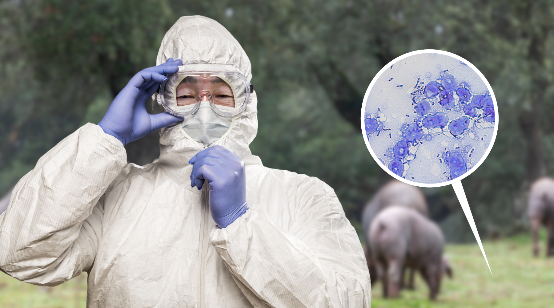 Protect Yourself from Melioidosis: How to Wear PPE the Right Way