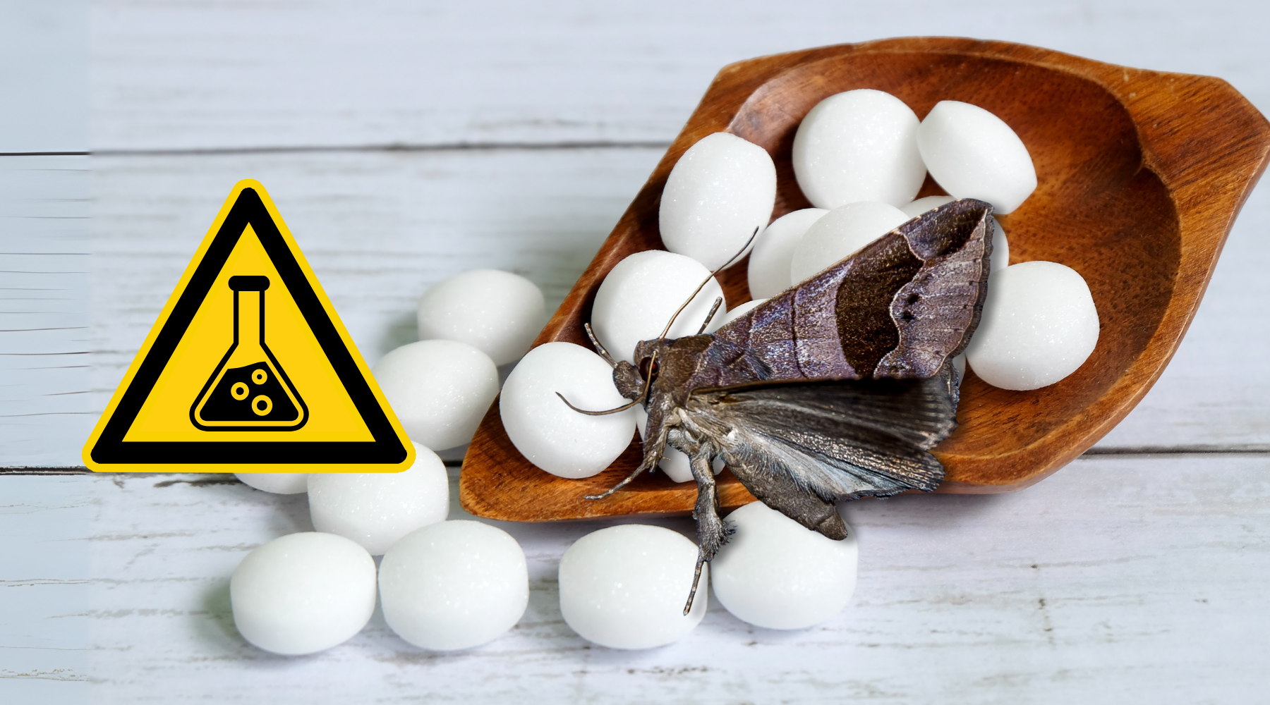 Still Using Mothballs? Here’s Why It’s Time to Stop