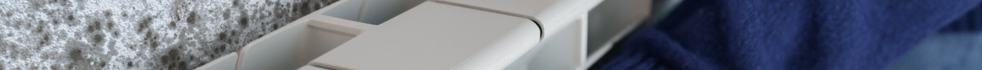 Winter Mould Myths: Common Mistakes Homeowners Make