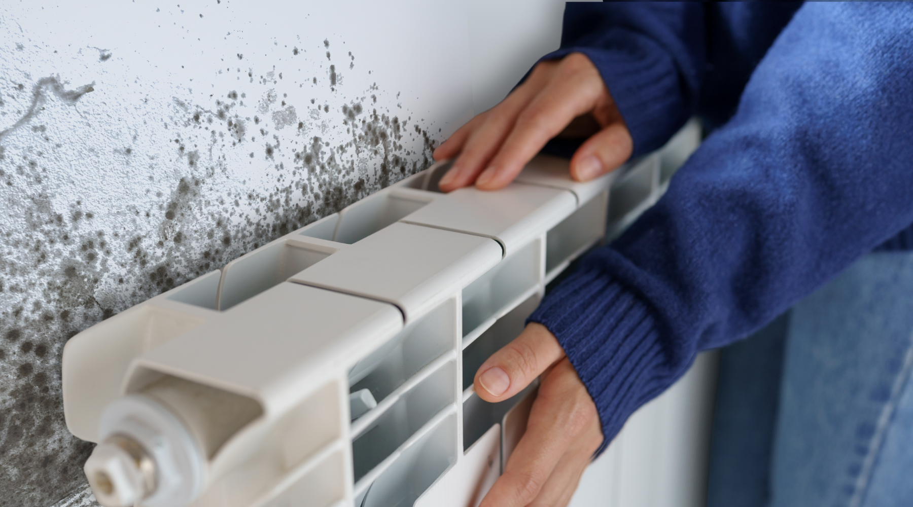 Winter Mould Myths: Common Mistakes Homeowners Make