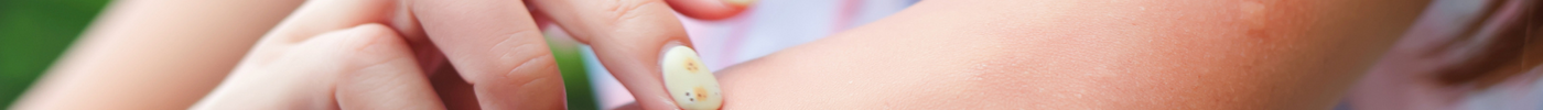 Your Ultimate Guide to Finding the Right Insect Repellent