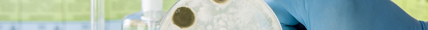 Debunking Mould Myths: Why Vinegar, Bleach and Other DIY Chemicals Fail to Tackle Mould at Its Roots