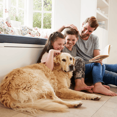 A father and two children sitting on the floor with a golden retriever, enjoying a moment together in a bright, cosy home.
